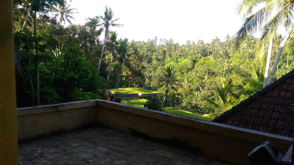 Punia's Jungle Ubud (Bali)