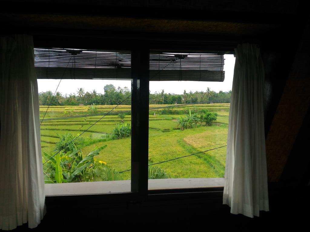 Punia's Jungle * Ubud (Bali)