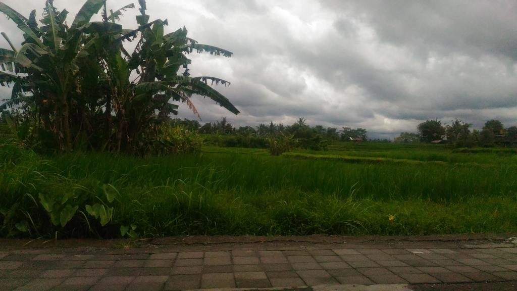 Guest house Punia's Jungle