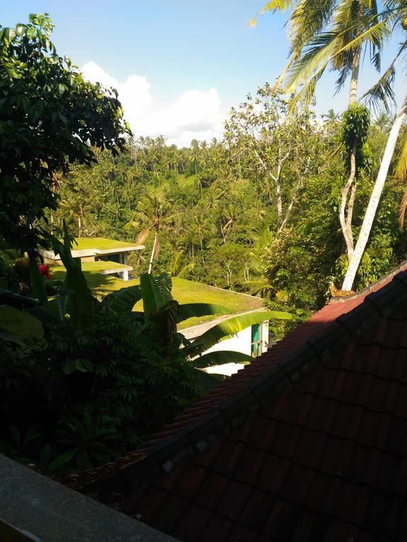Punia's Jungle Ubud (Bali)